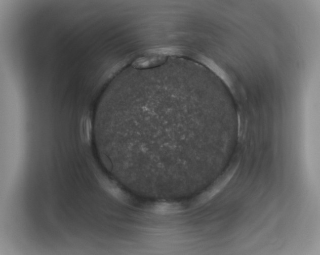 X0000113280109200909281000