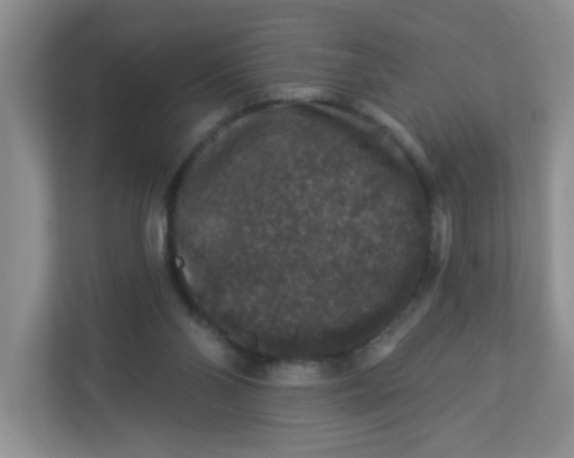 X0000113280110200909281000