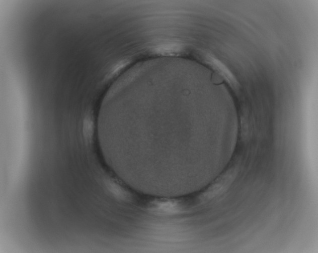 X0000113280113200909281000