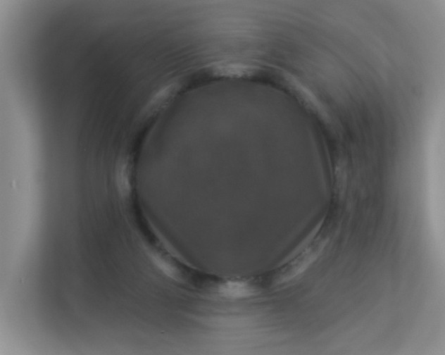 X0000113280114200909281000