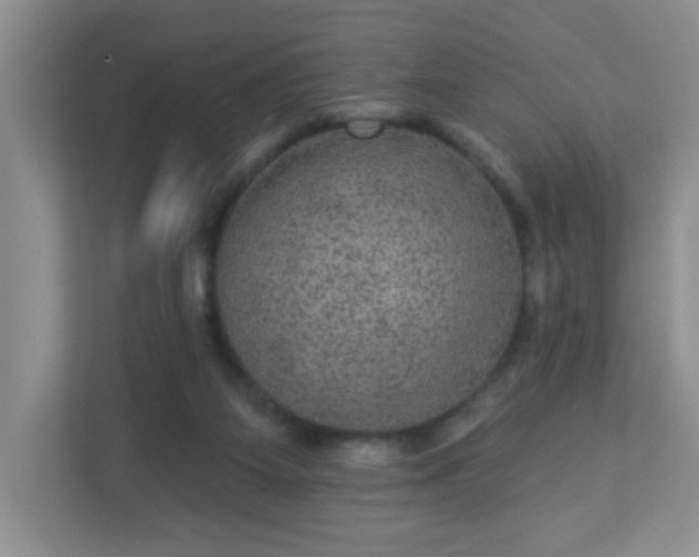 X0000113280115200909281000