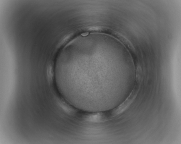 X0000113280116200909281000