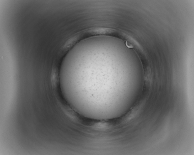 X0000113280119200909280959