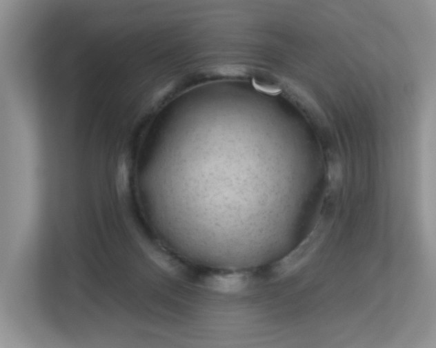 X0000113280120200909280959