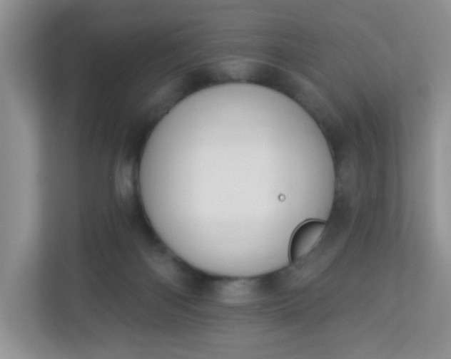 X0000113280122200909280959