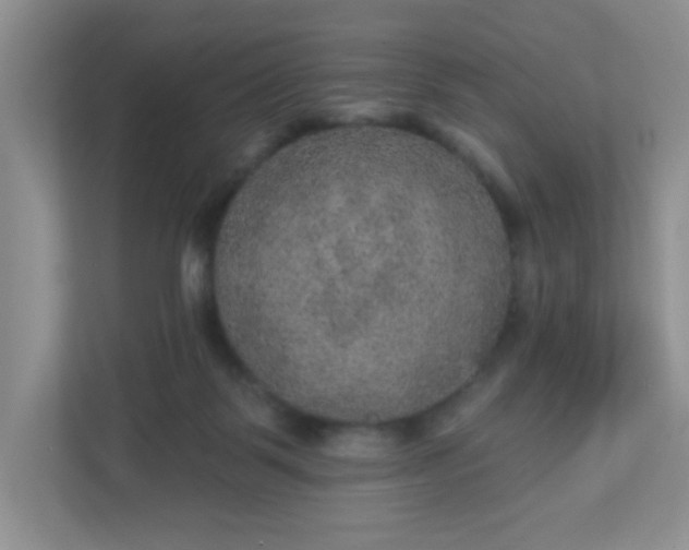 X0000113280123200909280959