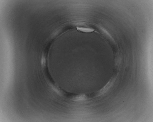 X0000113280124200909280959