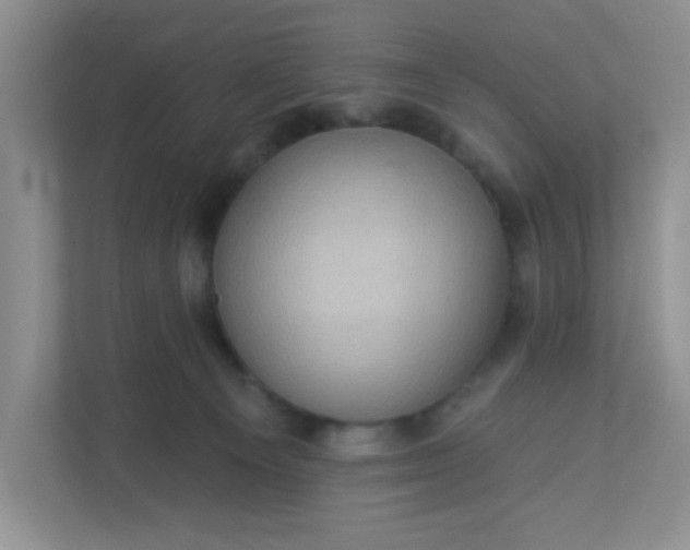 X0000113280129200909280959