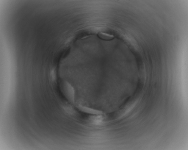 X0000113280131200909280959