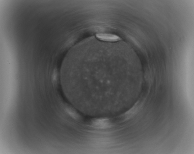 X0000113280132200909280959