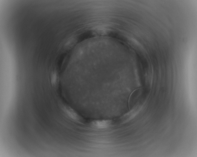 X0000113280134200909280959