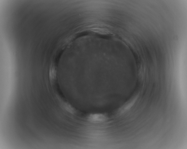 X0000113280137200909280959