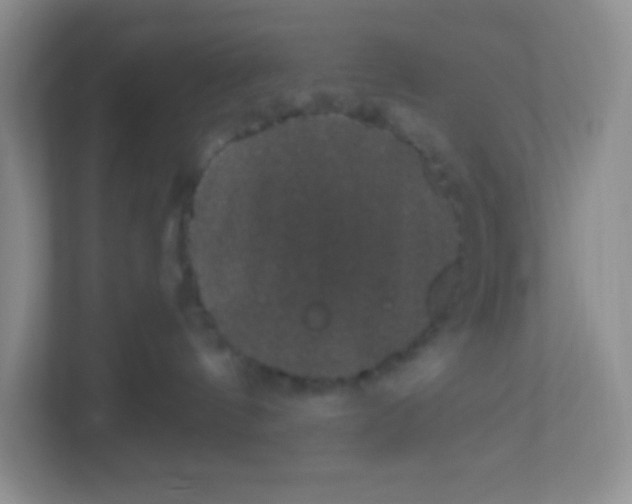 X0000113280144200909280959