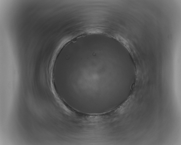 X0000113280145200909280959