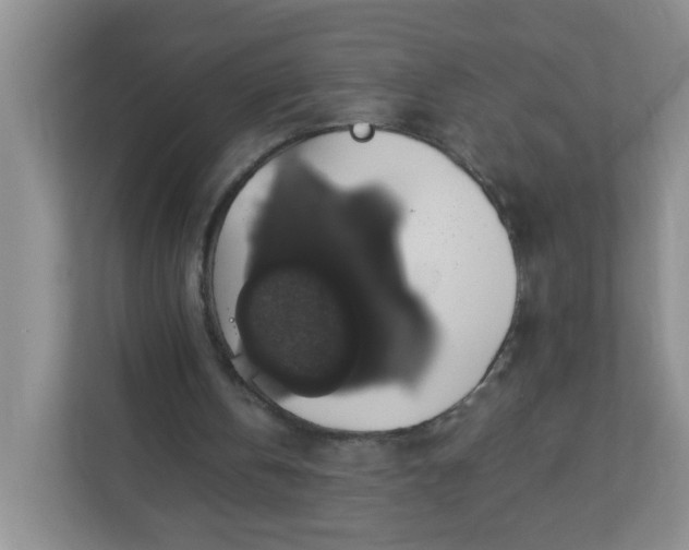 X0000113280146200909280959