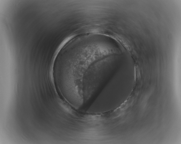 X0000113280147200909280959