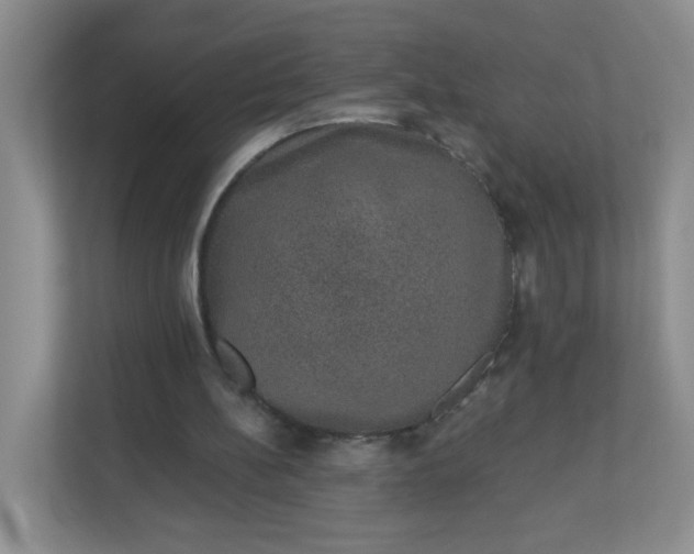 X0000113280148200909280959