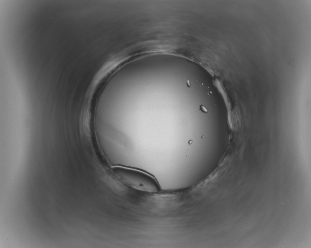 X0000113280150200909280959