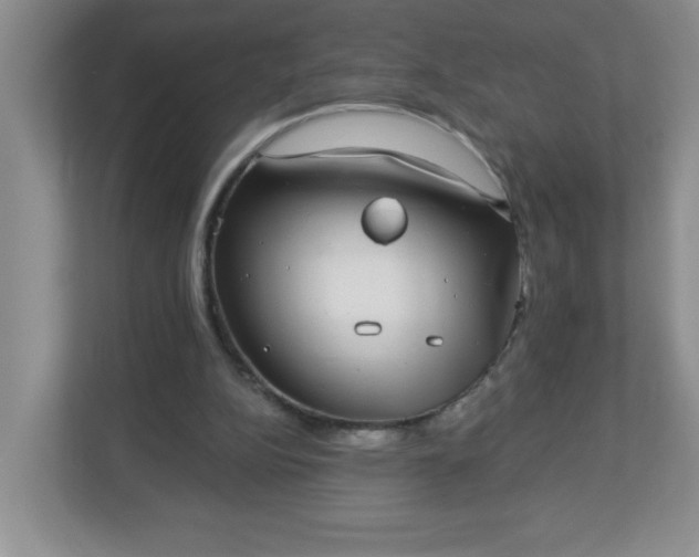 X0000113280152200909280959