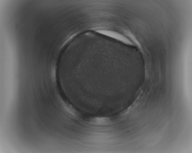 X0000113280154200909280959