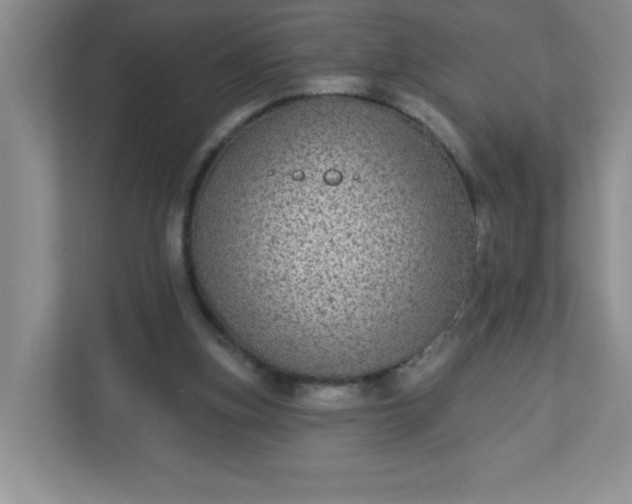 X0000113280155200909280959