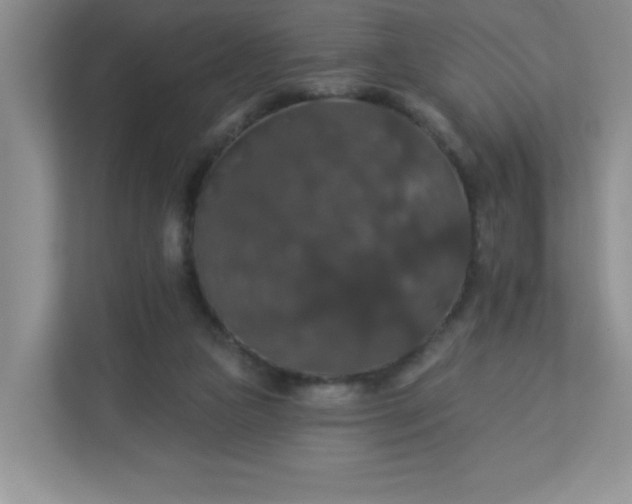 X0000113280161200909280959