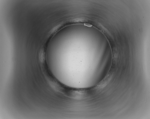 X0000113280164200909280959