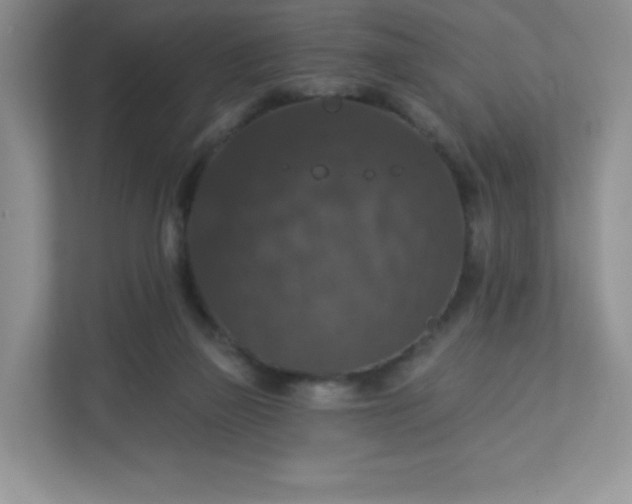 X0000113280165200909280959