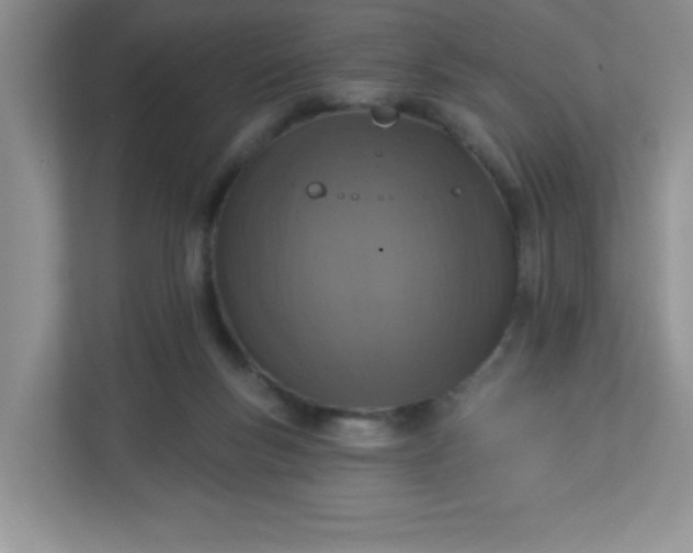 X0000113280167200909280959