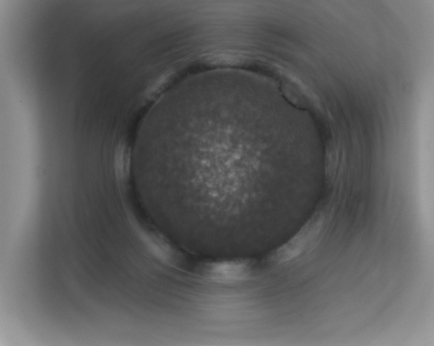 X0000113280168200909280959