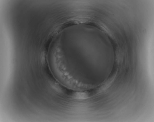 X0000113280169200909280959