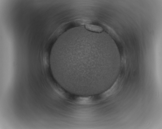 X0000113280170200909280959