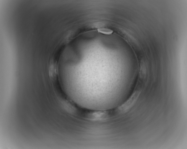 X0000113280172200909280959