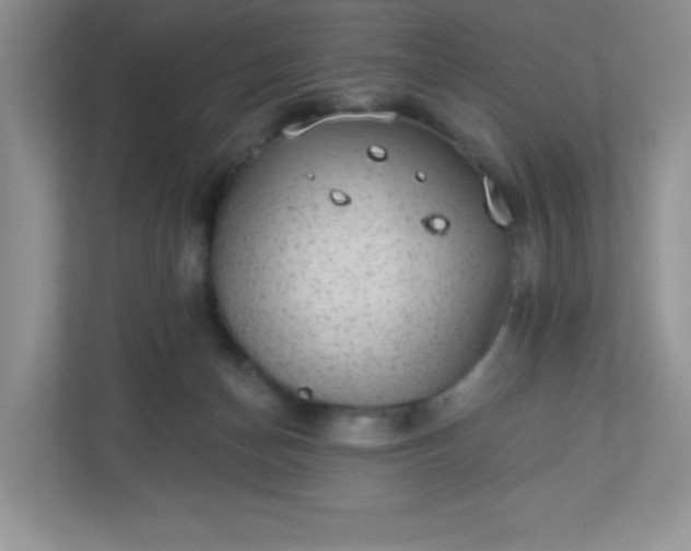 X0000113280174200909280959