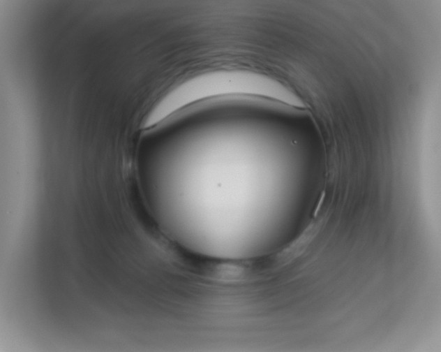 X0000113280176200909280959