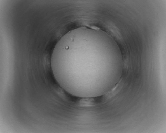 X0000113280179200909280959