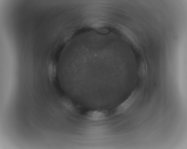 X0000113280180200909280959