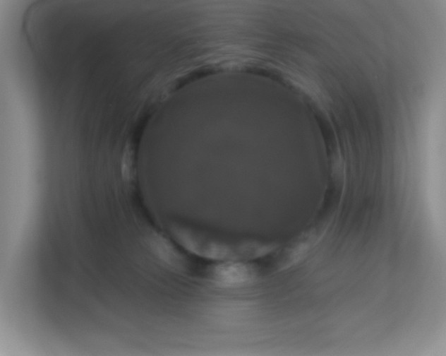 X0000113280181200909280959