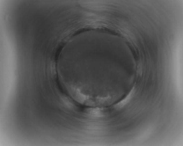 X0000113280182200909280959