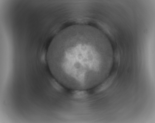 X0000113280185200909280959