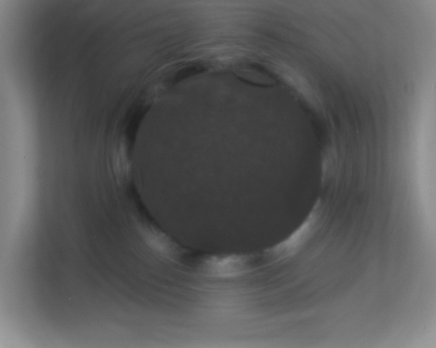 X0000113280186200909280959