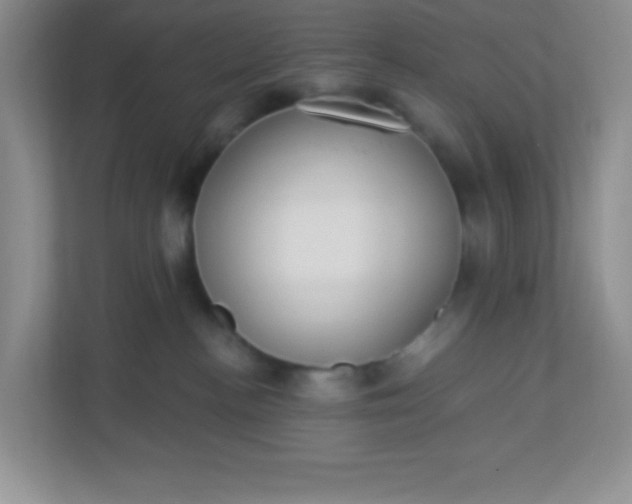 X0000113280188200909280959