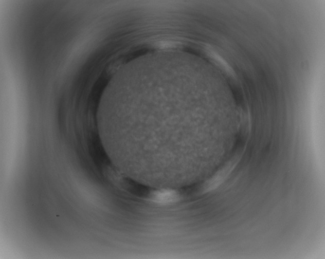 X0000113280189200909280959