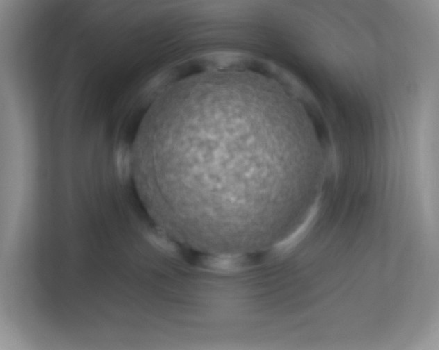 X0000113280191200909280959