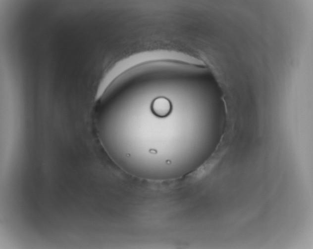 X0000113280192200909280959