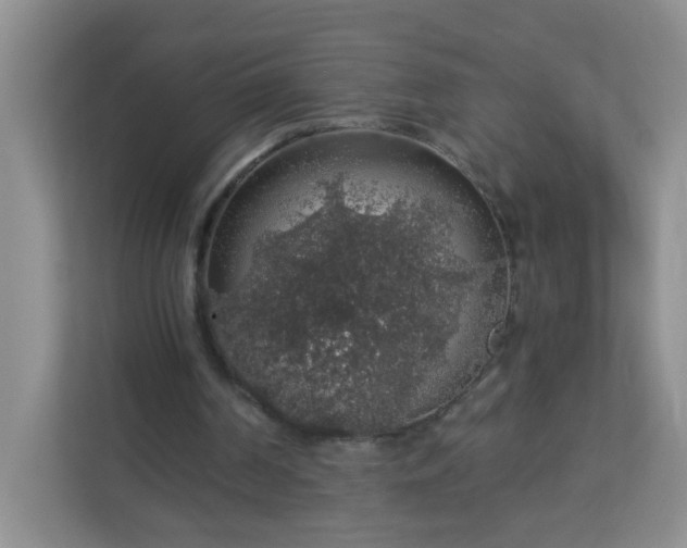 X0000113280194200909280958