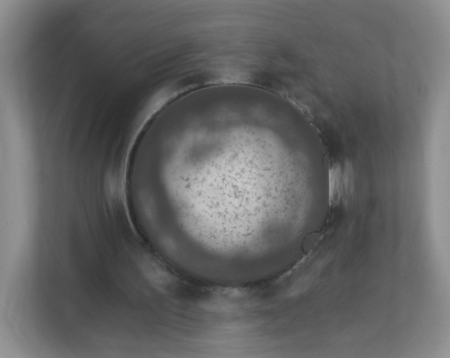 X0000113280195200909280958