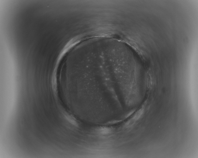 X0000113280198200909280958