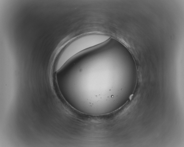 X0000113280199200909280958