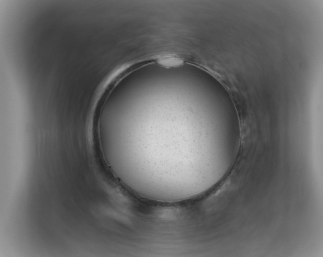 X0000113280200200909280958